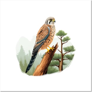 Kestrel Posters and Art